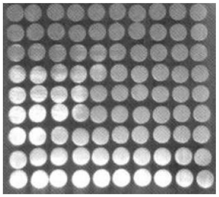 A method for characterizing microcorrosion characteristics of enamel-coated low-carbon steel surfaces using wire beam electrodes