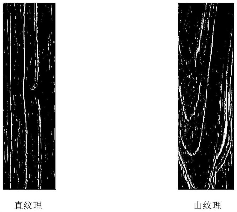 Wood Texture Extraction and Classification Method Based on Image Technology