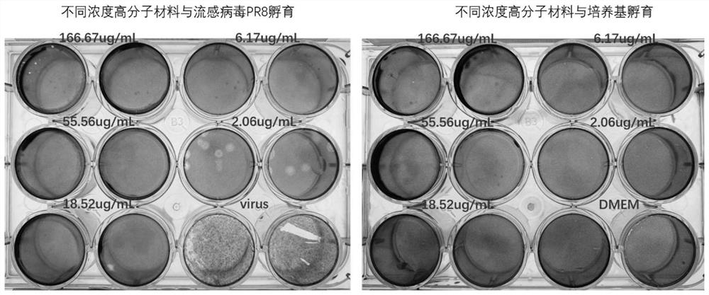 A water-soluble conjugated polymer with antibacterial and antiviral functions and its preparation and application