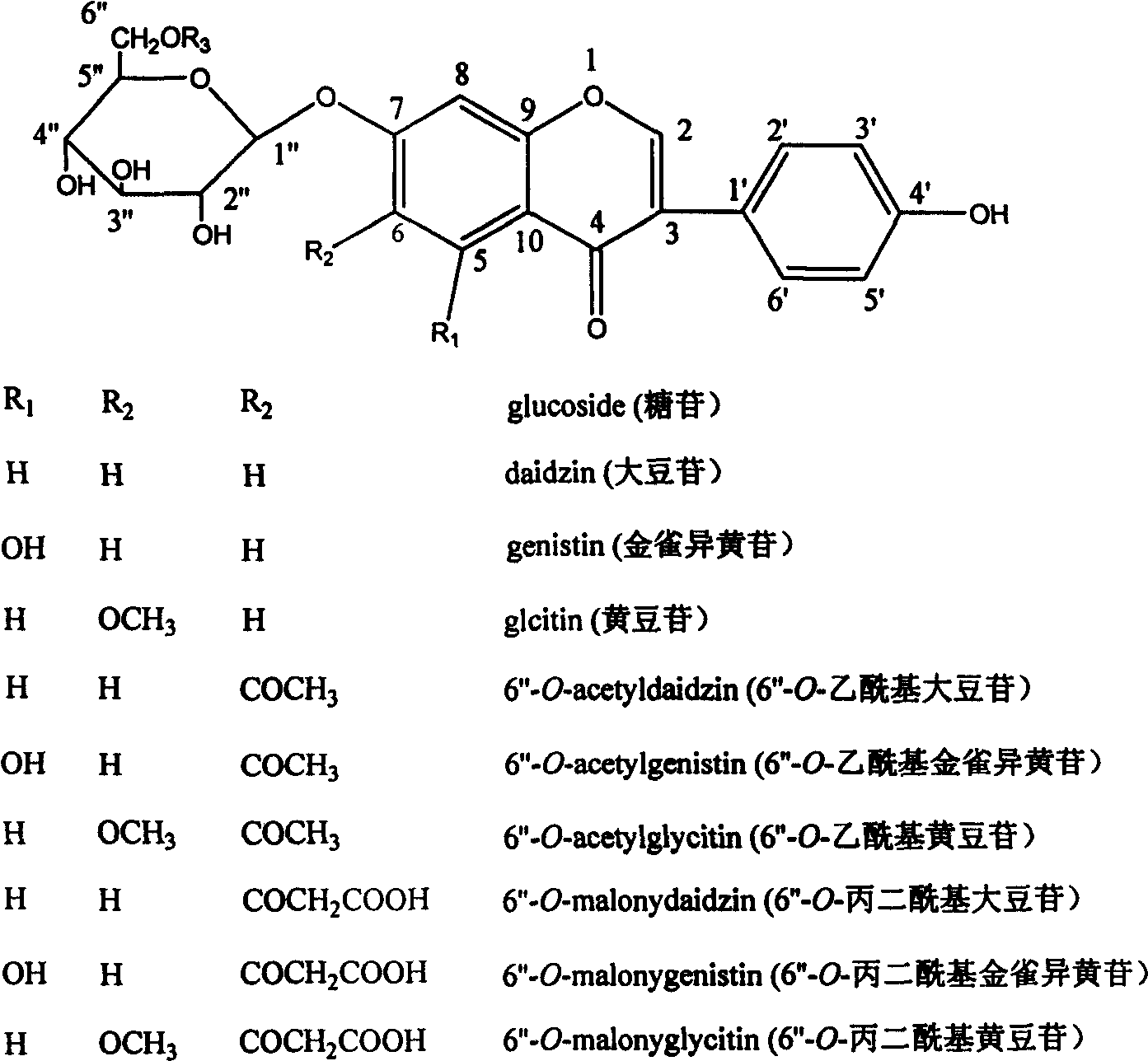 Magnetic nano immobilized enzyme catalysis production method of soya isoflavone