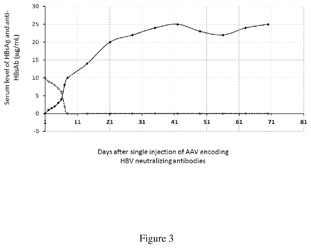 Methods of curing HBV infection and providing complete protection against HBV infection