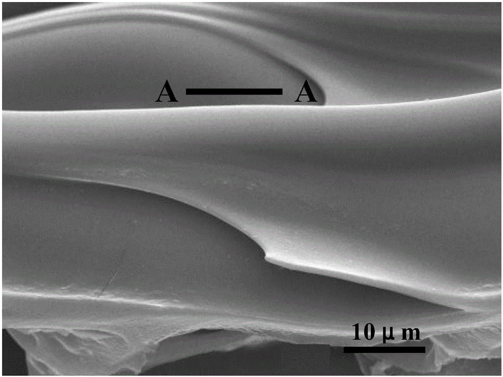 A liquid unidirectional spreading biomimetic surface texture