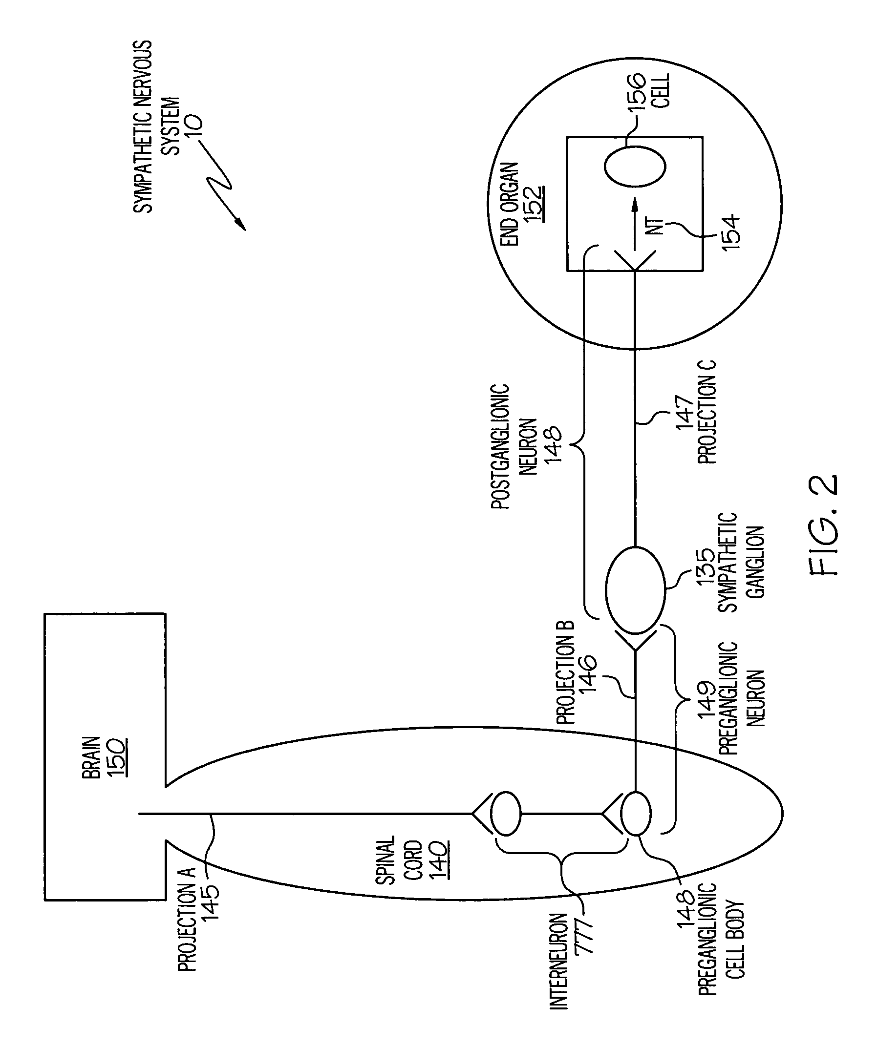 Device and method for inhibiting release of pro-inflammatory mediator