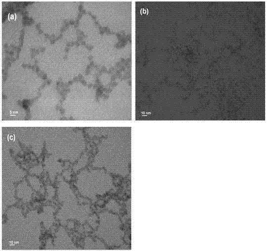 Multi-shell-structure quantum dot composite particle, and high-fluorescent-brightness quantum dot probe and preparation method thereof