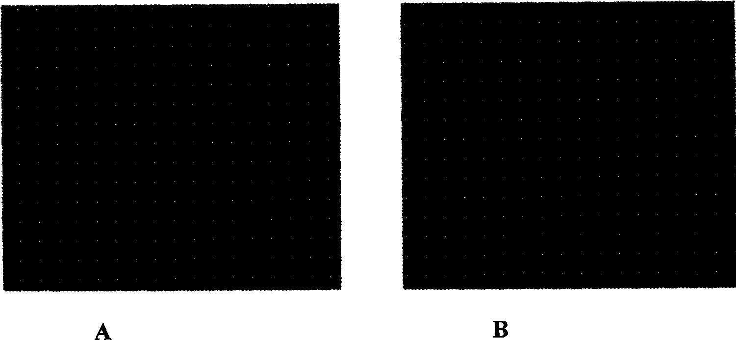 Method of stable labelling liver cancer cell