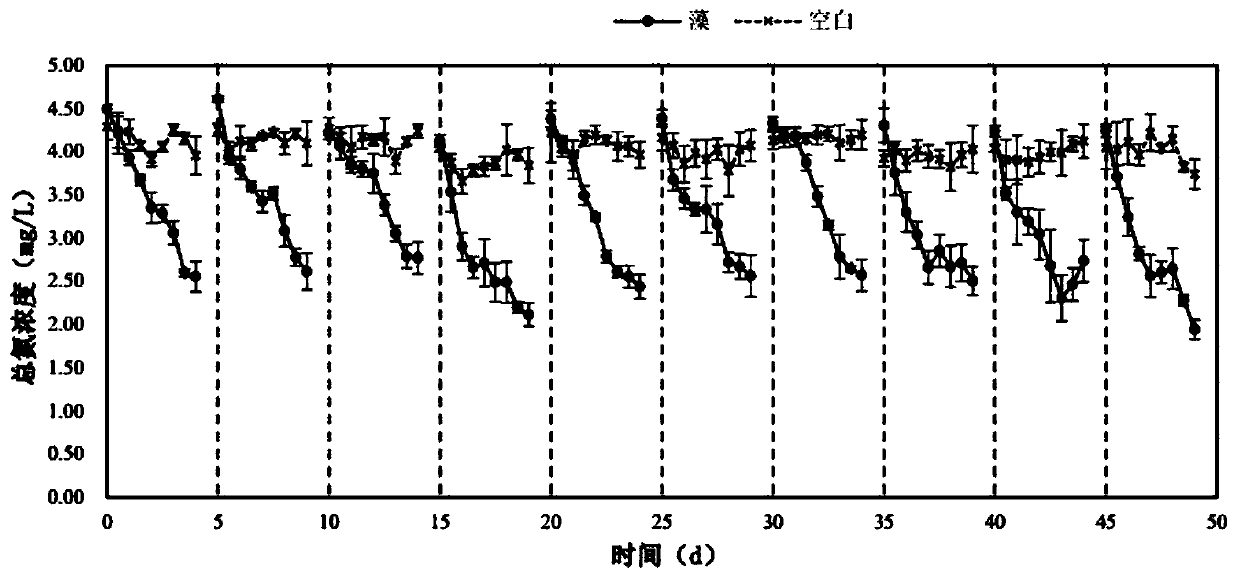 Processing system used for eliminating inorganic nitrogen and phosphor in culture water body