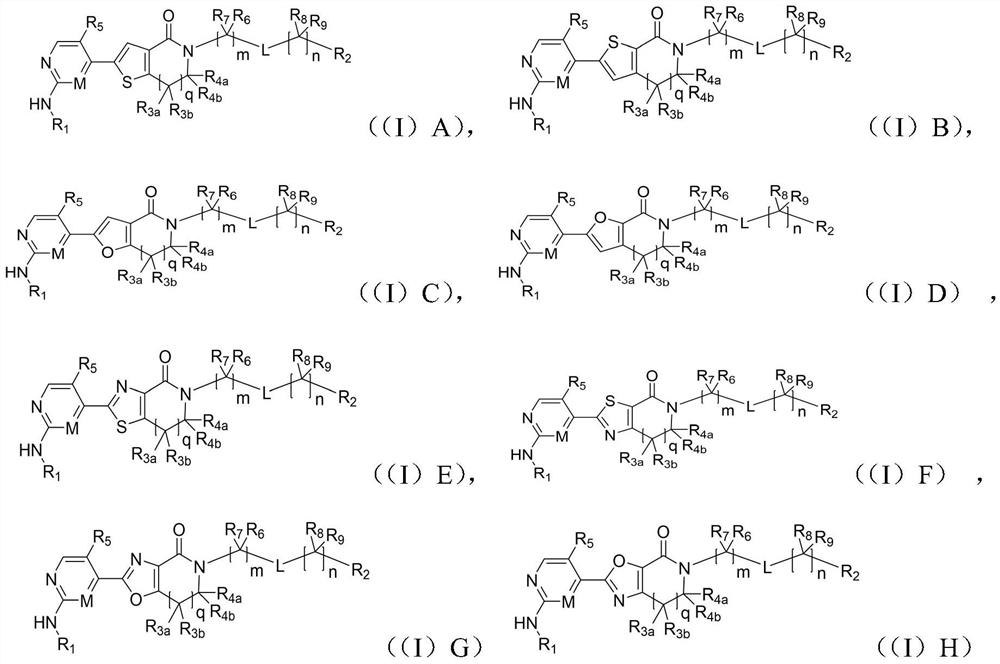 A class of aromatic heterocyclic lactam compounds, preparation method and use