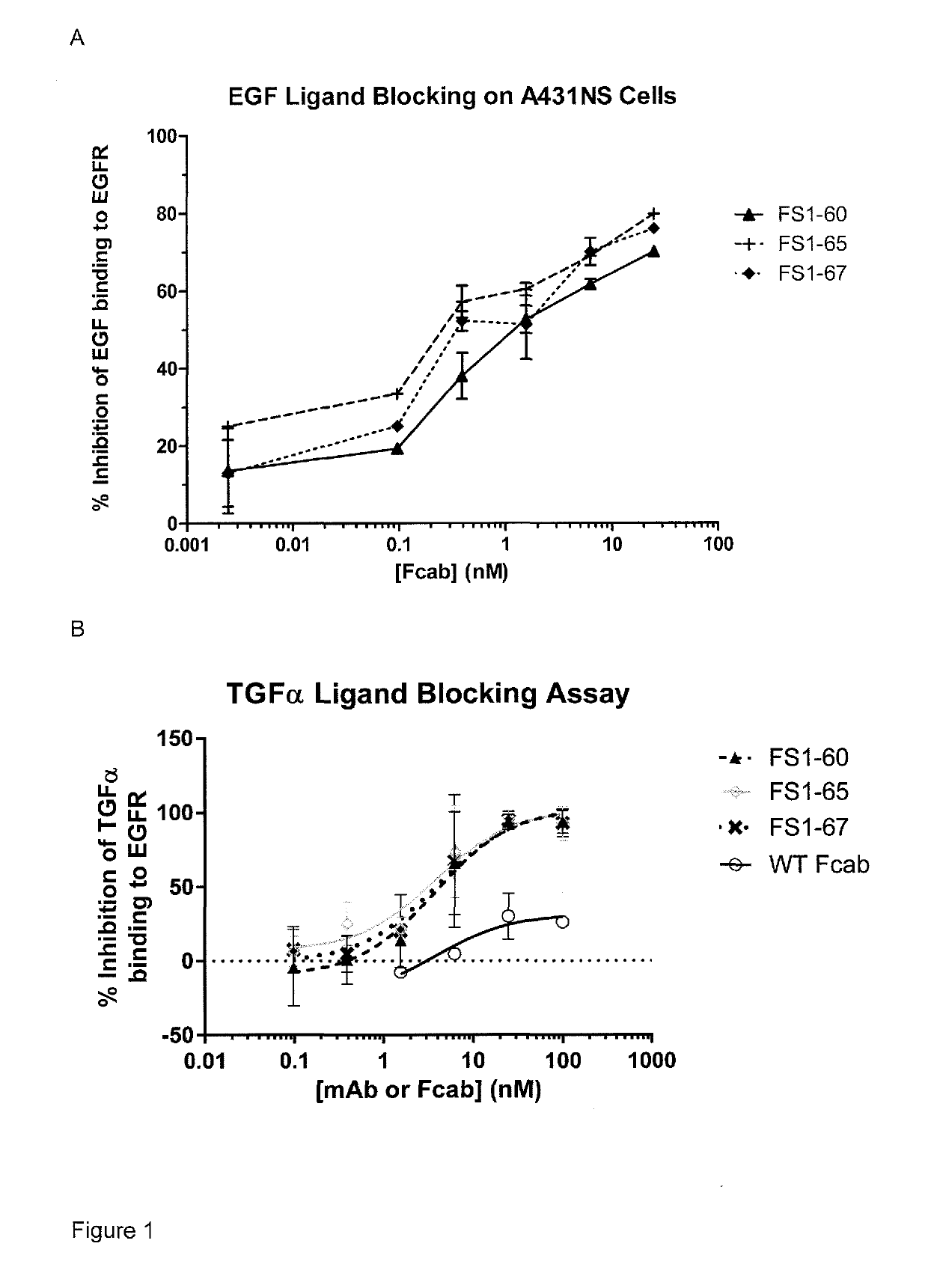 EGFR binding molecules