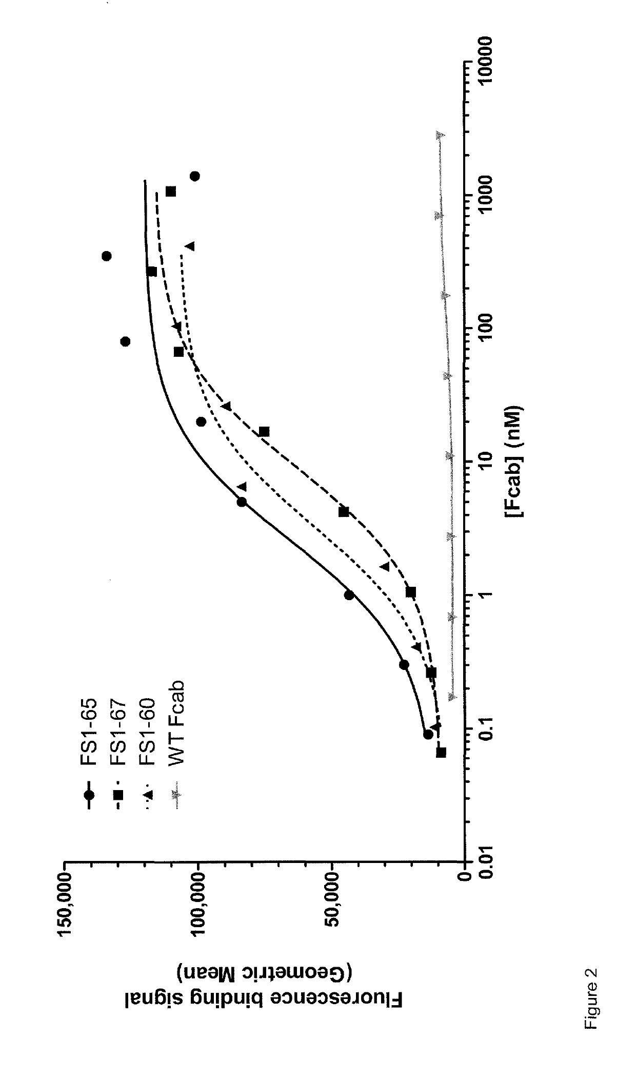 EGFR binding molecules