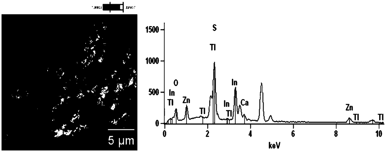Preparation method and application of a composite photocatalyst for growing znin2s4 on the surface of tio2 hollow spheres