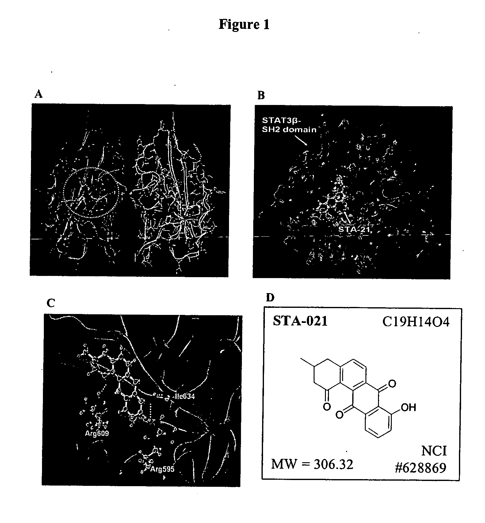 Small molecule inhibitors of STAT3 and the uses thereof