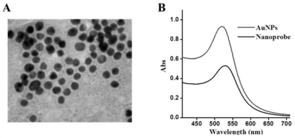 Gold nanoparticle sensor based on pin locking deoxyribozyme probe and application of gold nanoparticle sensor in detecting MUC1