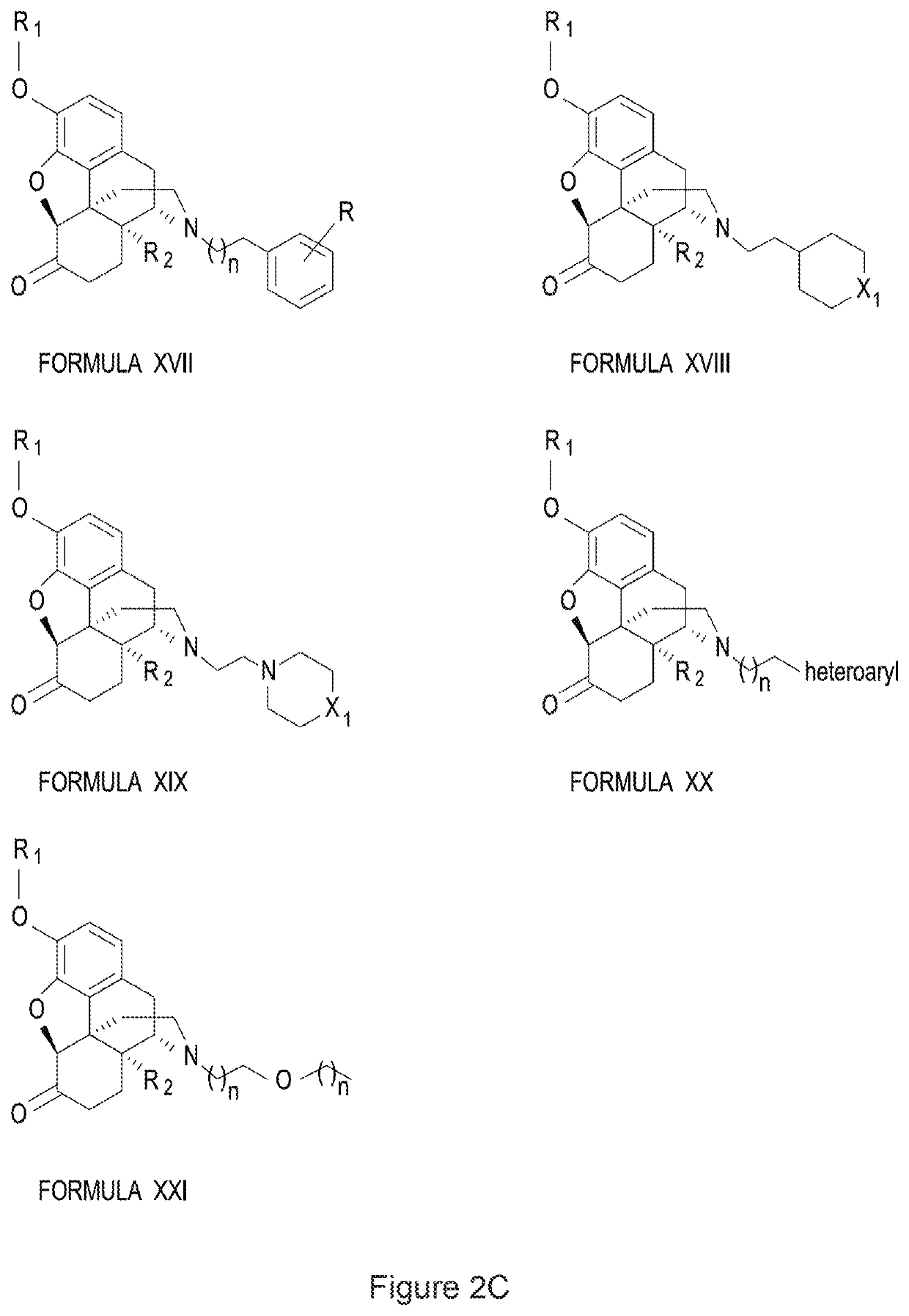 Halogenated derivatives of morphinans and uses thereof