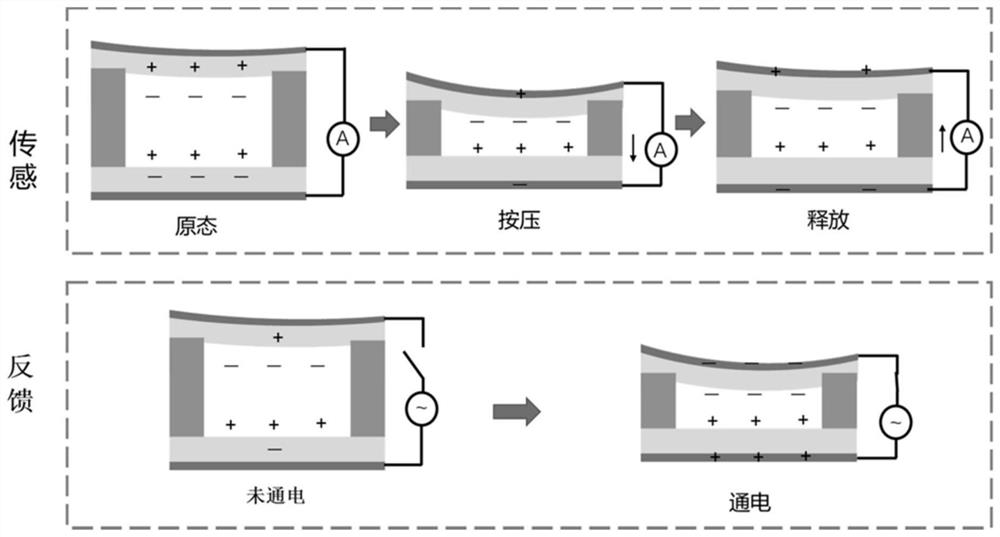 Tactile sensing and feedback substrate and driving method thereof