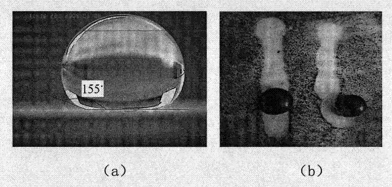 A preparation method of antifouling self-cleaning polyvinylidene fluoride film and its products
