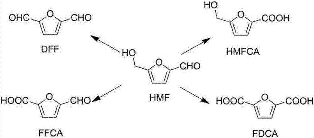 Comamonas testosteroni and application thereof in synthesizing of 5-hydroxymethyl furoic acid