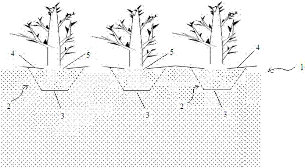 Desert planting structure and method for planting plant in desert