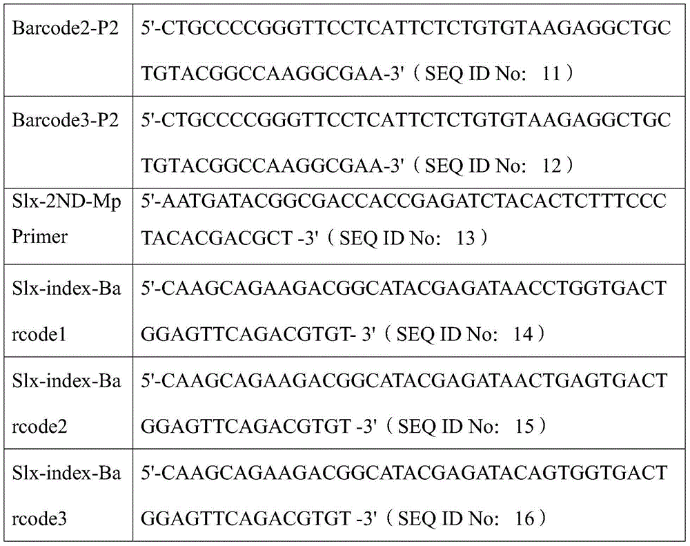 High-throughput low-cost SNP (single nucleotide polymorphism) genotyping method based on liquid molecular hybridization principle