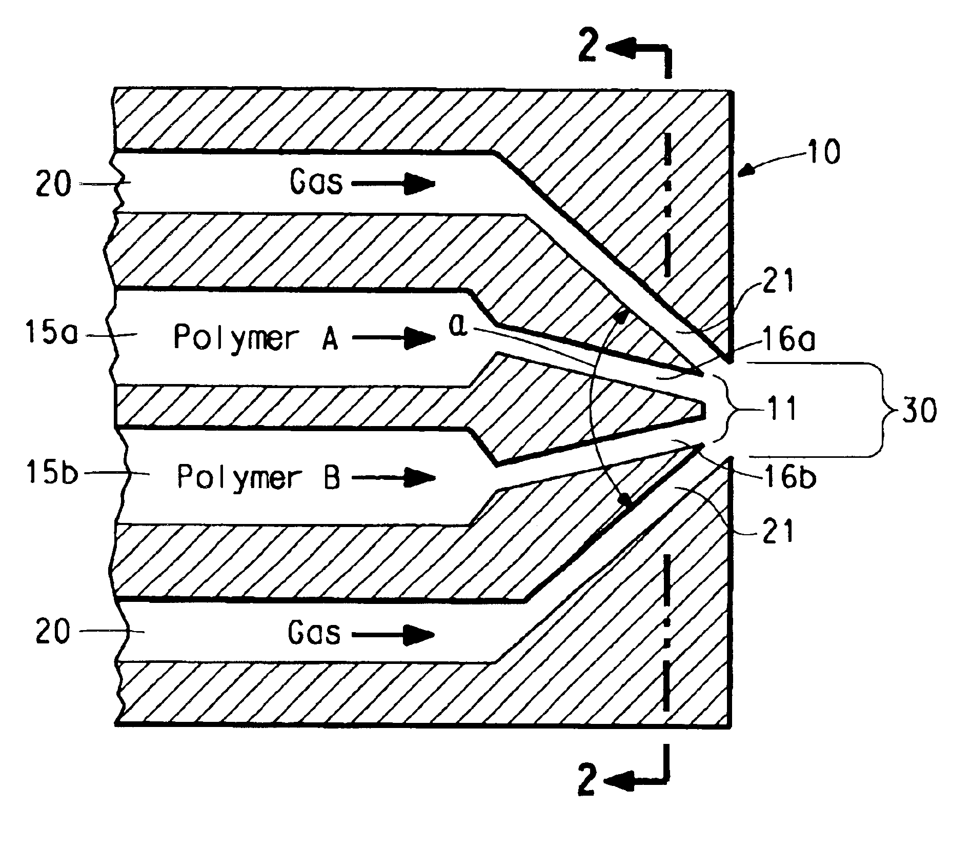 Apparatus for making multicomponent meltblown fibers and webs
