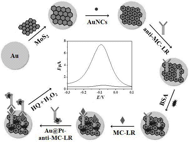 Electrochemical method for detecting microcystic toxins