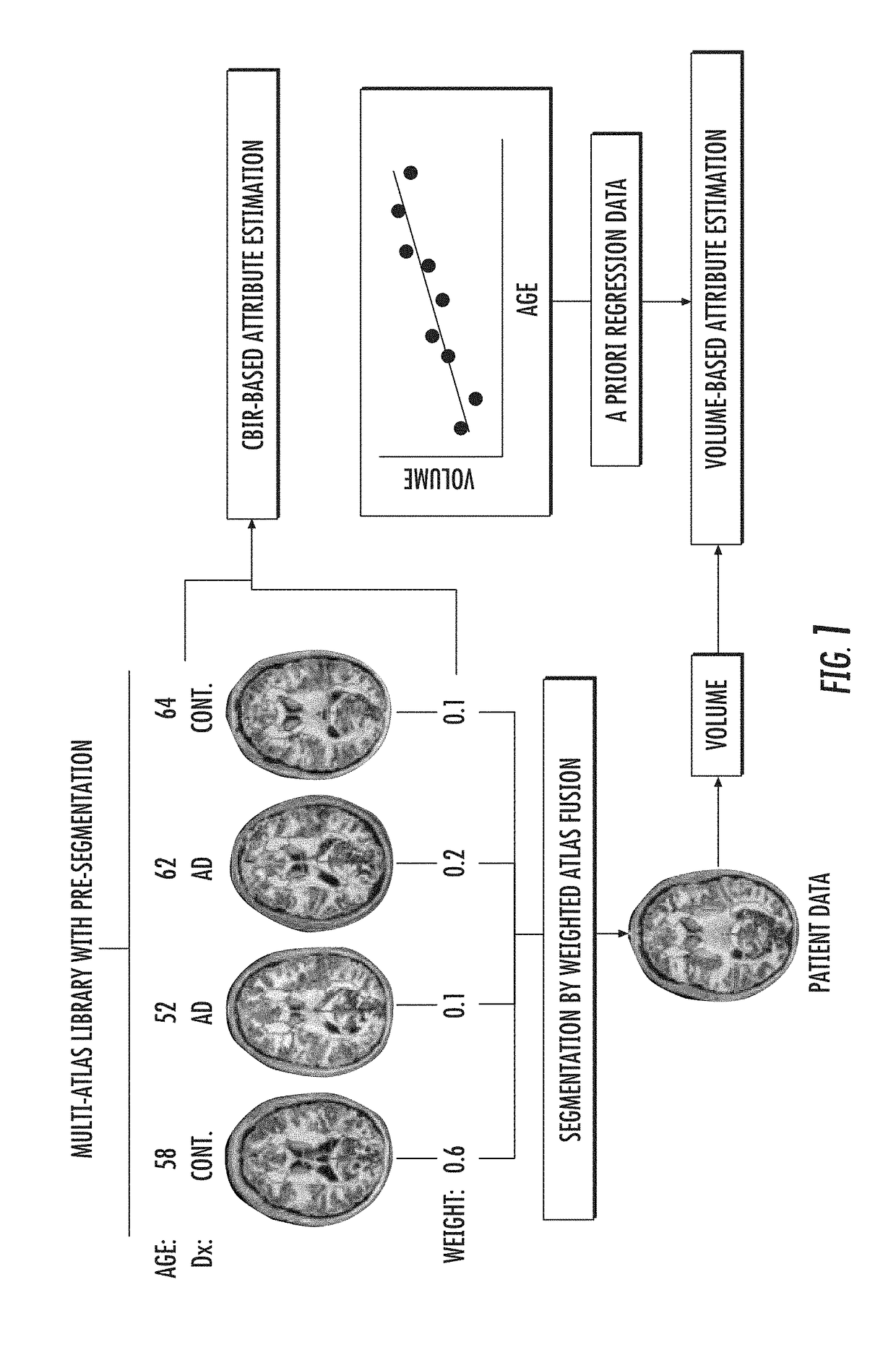 Direct estimation of patient attributes based on MRI brain atlases