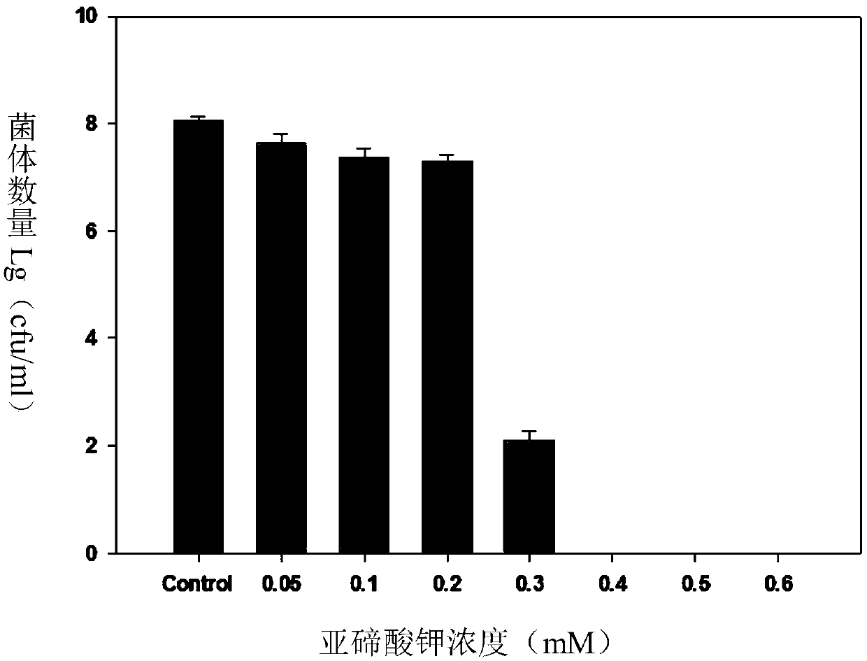 Method of biosynthesizing nanometer tellurium by utilizing bacillus licheniformis and application of method