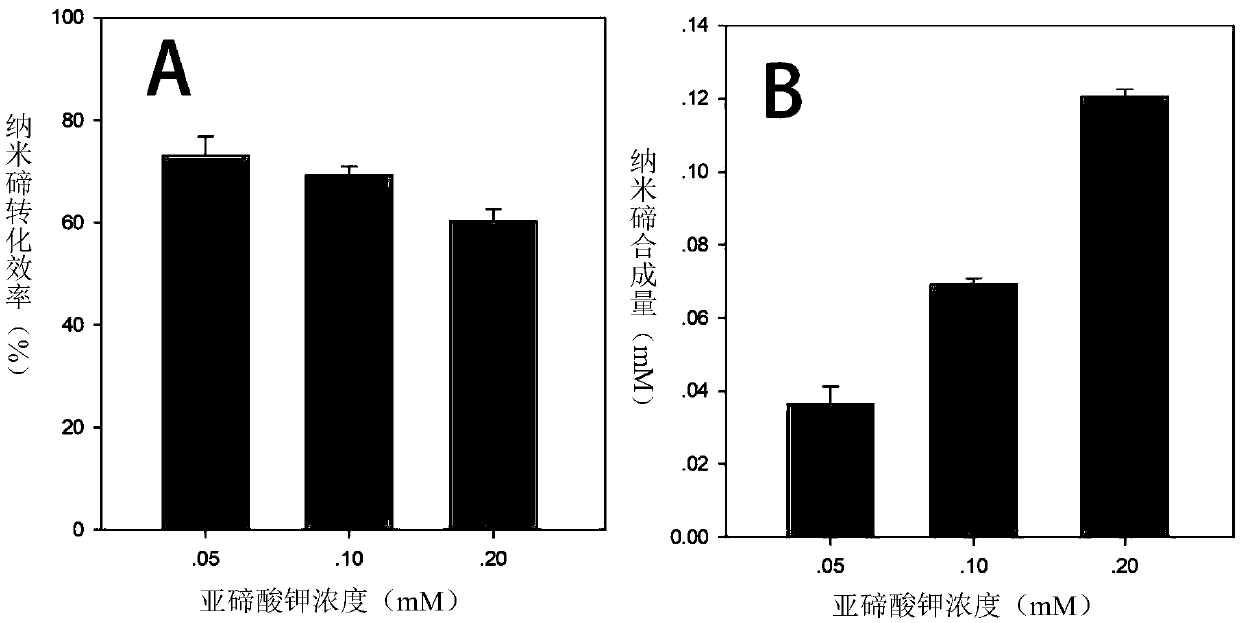 Method of biosynthesizing nanometer tellurium by utilizing bacillus licheniformis and application of method