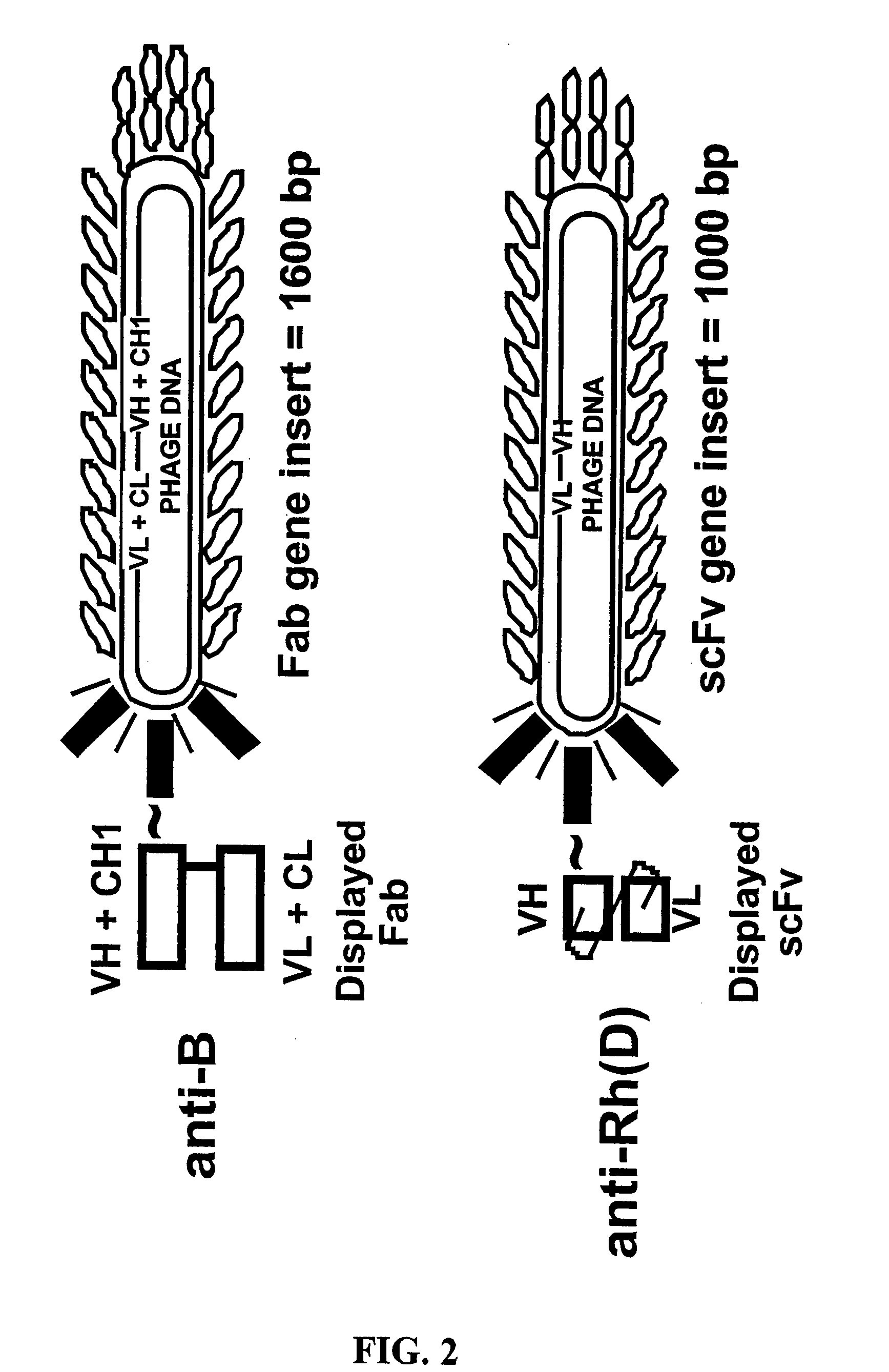 Compositions, methods and kits for detection of an antigen on a cell and in a biological mixture
