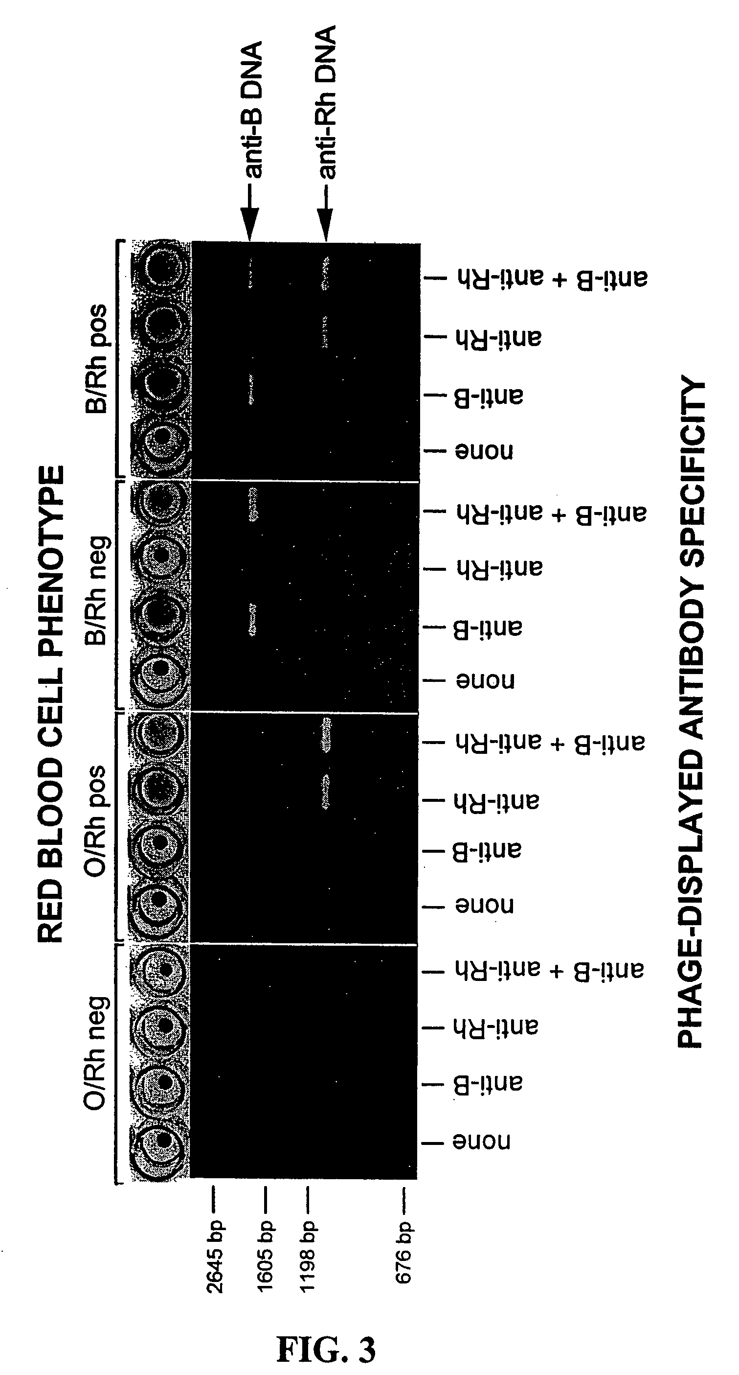 Compositions, methods and kits for detection of an antigen on a cell and in a biological mixture