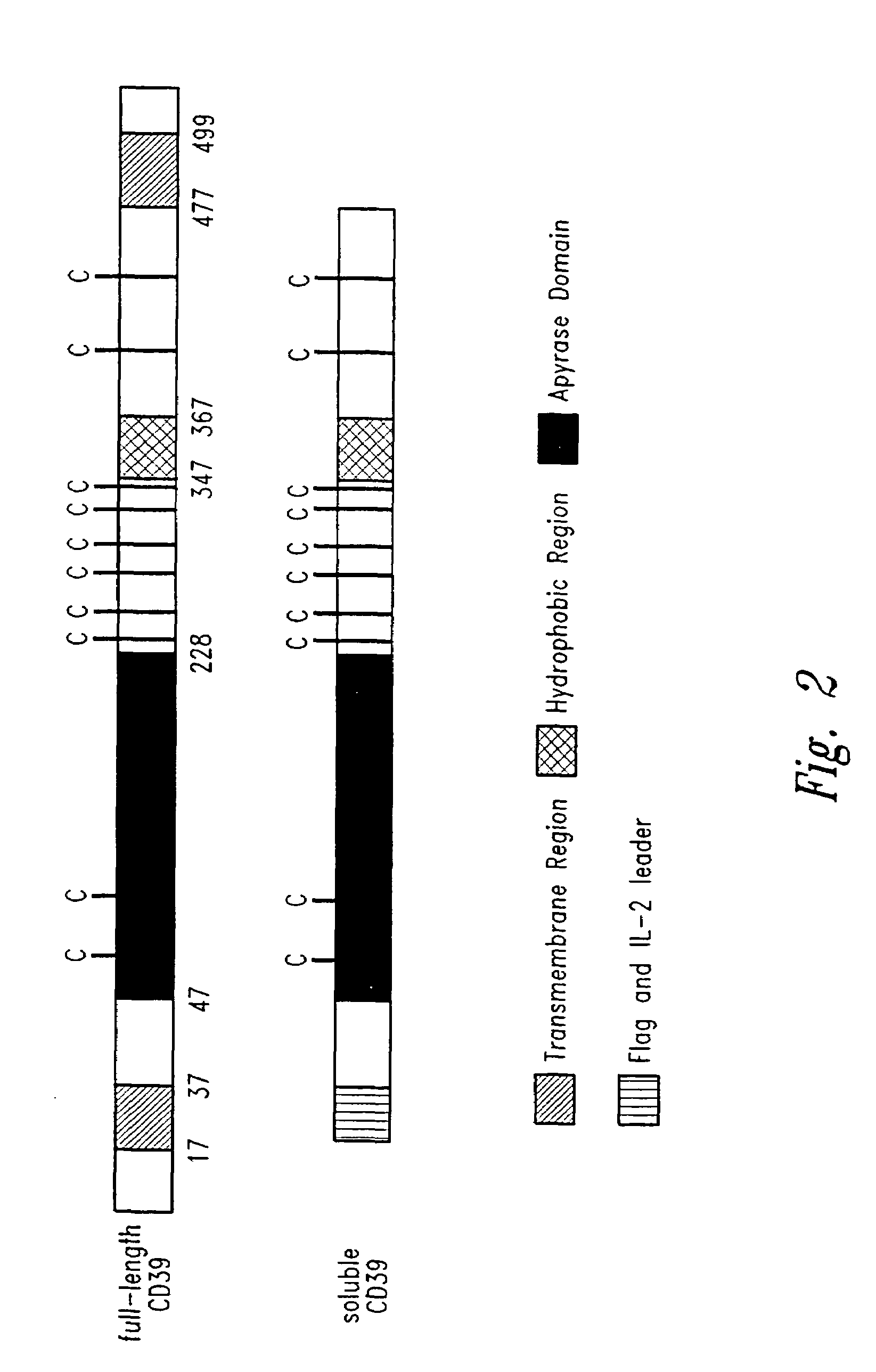 Methods of inhibiting platelet activation and recruitment