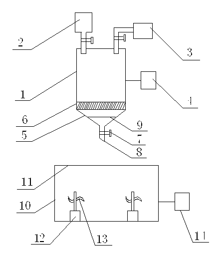 Seed sprouting device and method for dendrobenthamia capitata