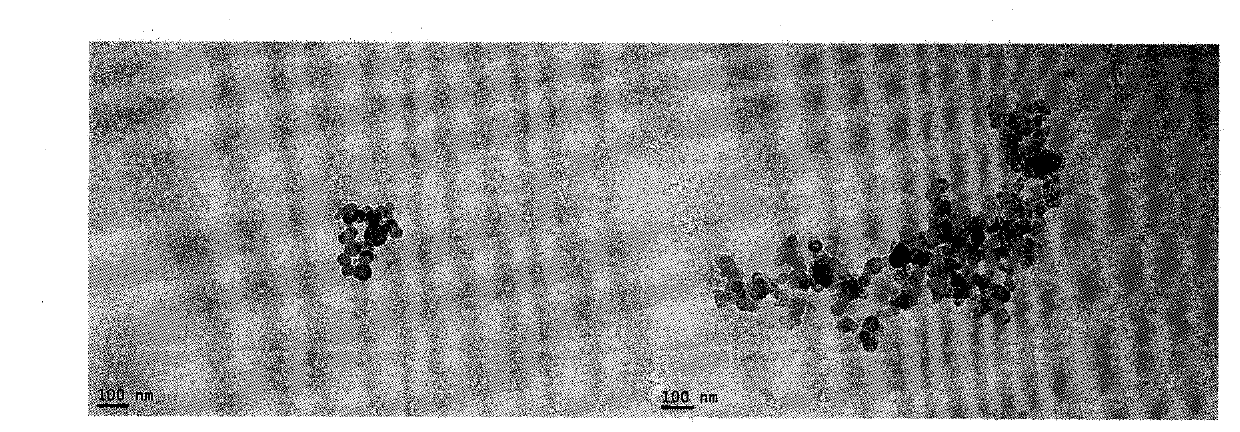 Octapeptide-modified dexamethasone, and preparation, nanometer structure and application thereof