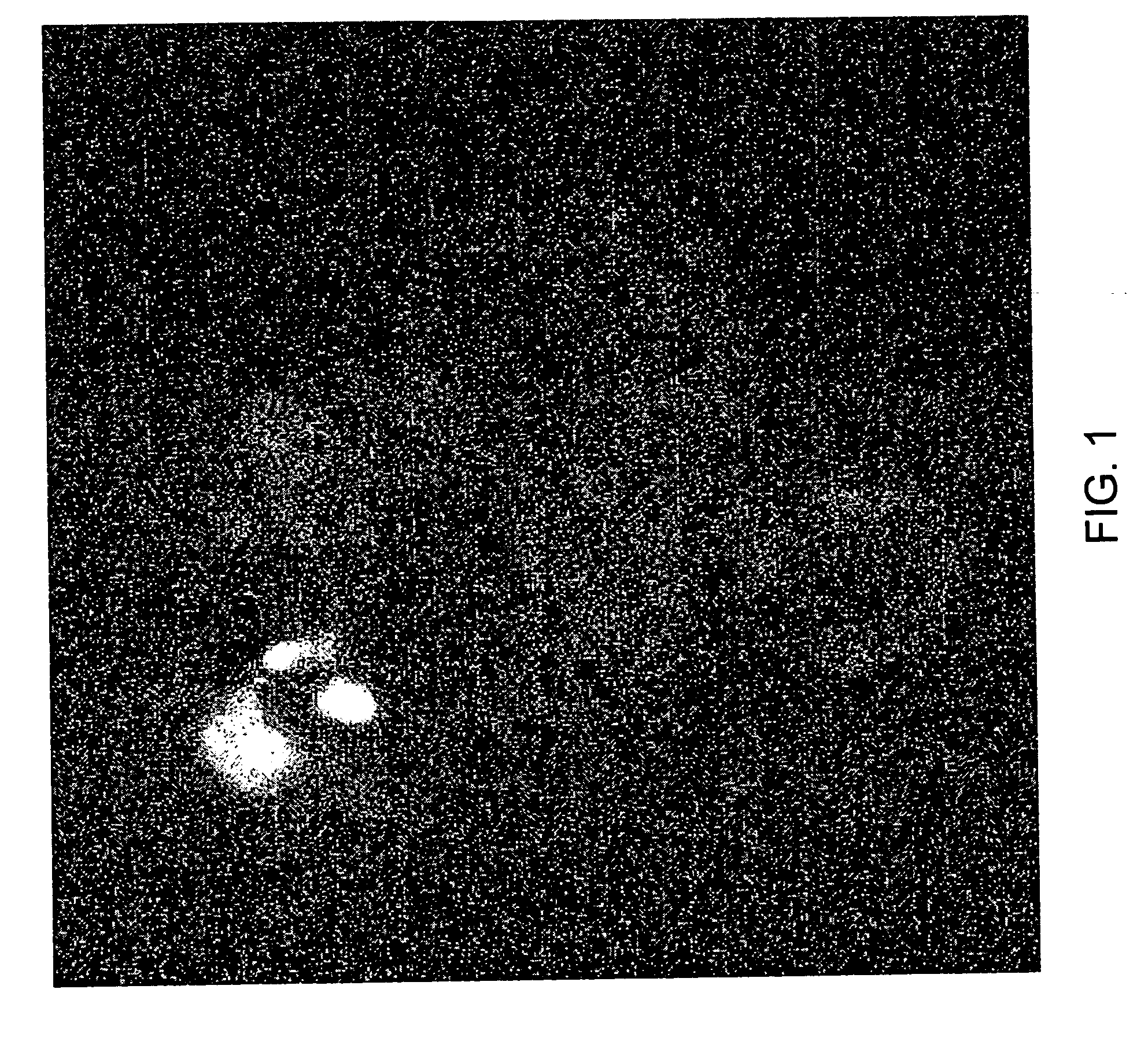 Systems and methods for silencing expression of a gene in a cell and uses thereof