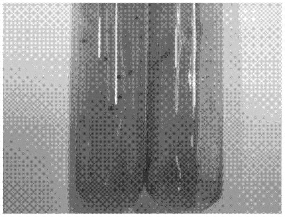A Dissimilatory Iron-Reducing Bacteria and Its Application