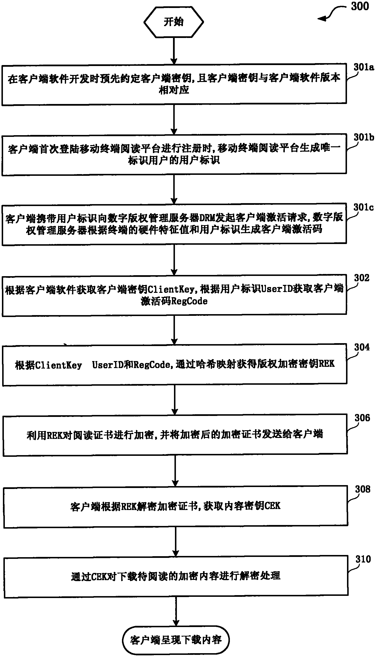 Method and system for protecting terminal reading contents