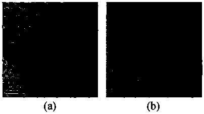 Method for carrying out half-in-site observation on initiation position of point corrosion pit