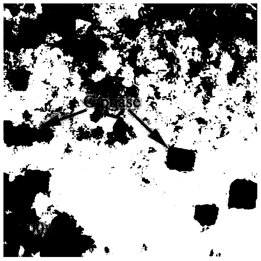 Method for carrying out half-in-site observation on initiation position of point corrosion pit