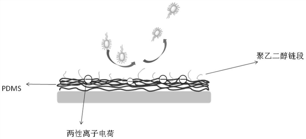 Ionic silicone gel antifouling coating and preparation method thereof