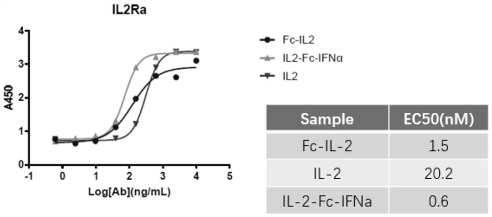 Design, preparation and application of novel IL-2, INF alpha and Fc fusion protein