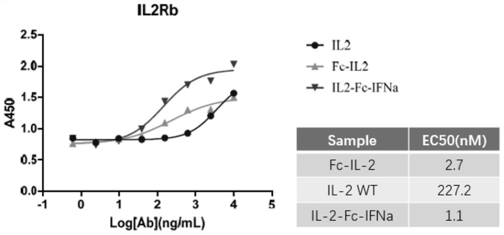 Design, preparation and application of novel IL-2, INF alpha and Fc fusion protein