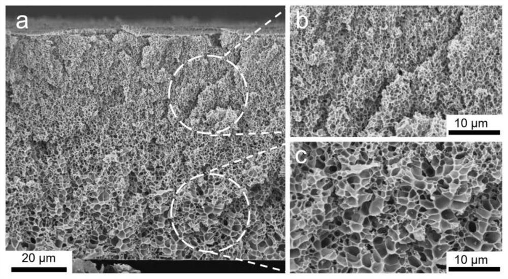 Gradient pore structure silk fibroin film and preparation method thereof