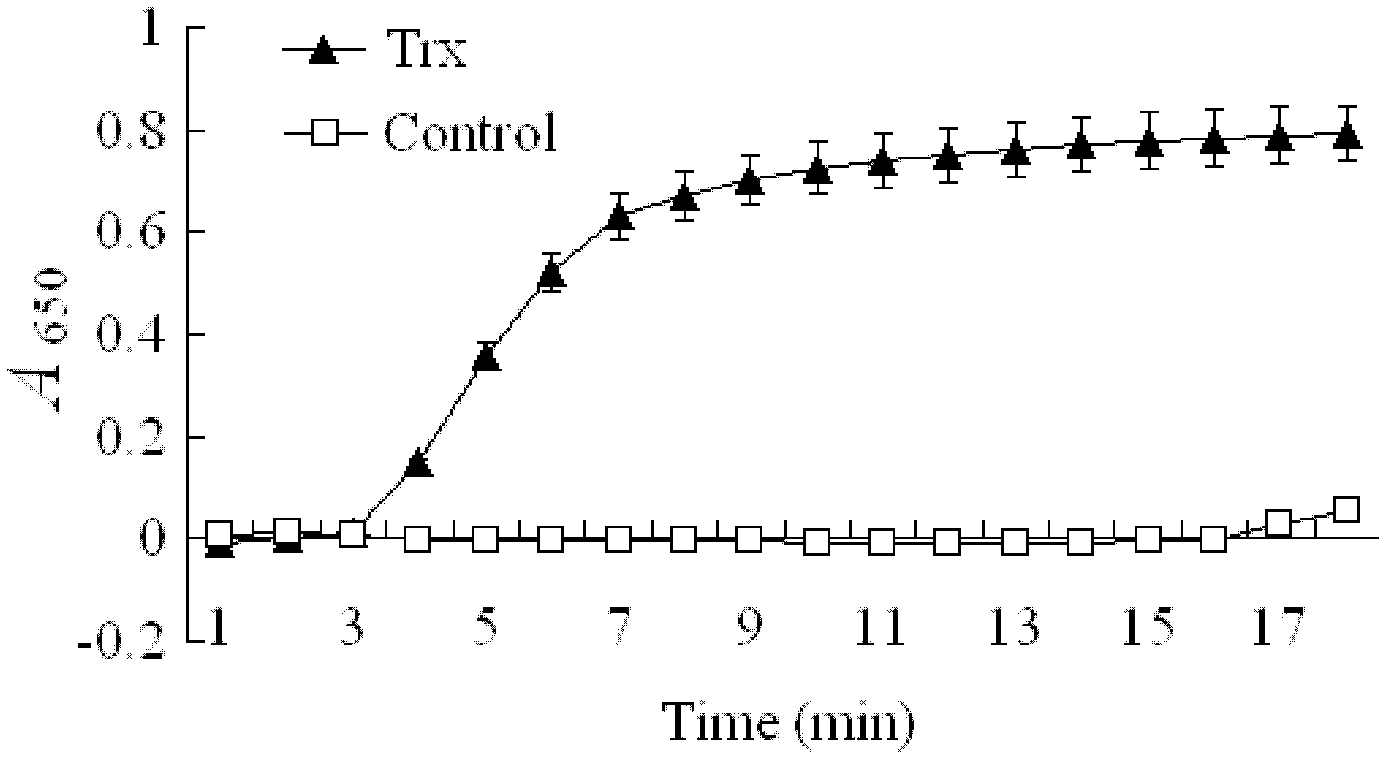Thioredoxin and preparation method and application thereof