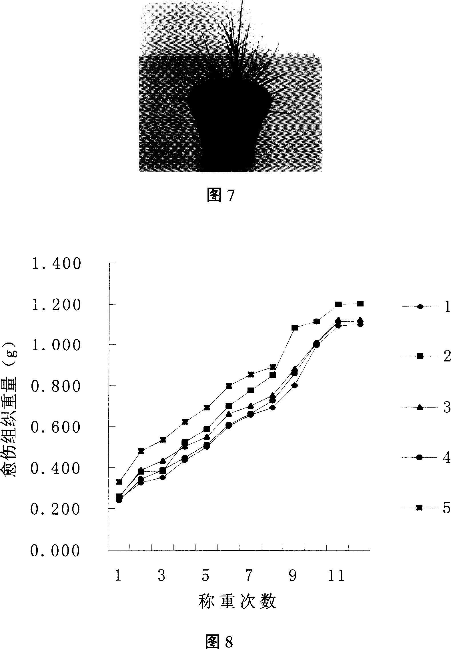 Regeneration method of Japanese lawngrass