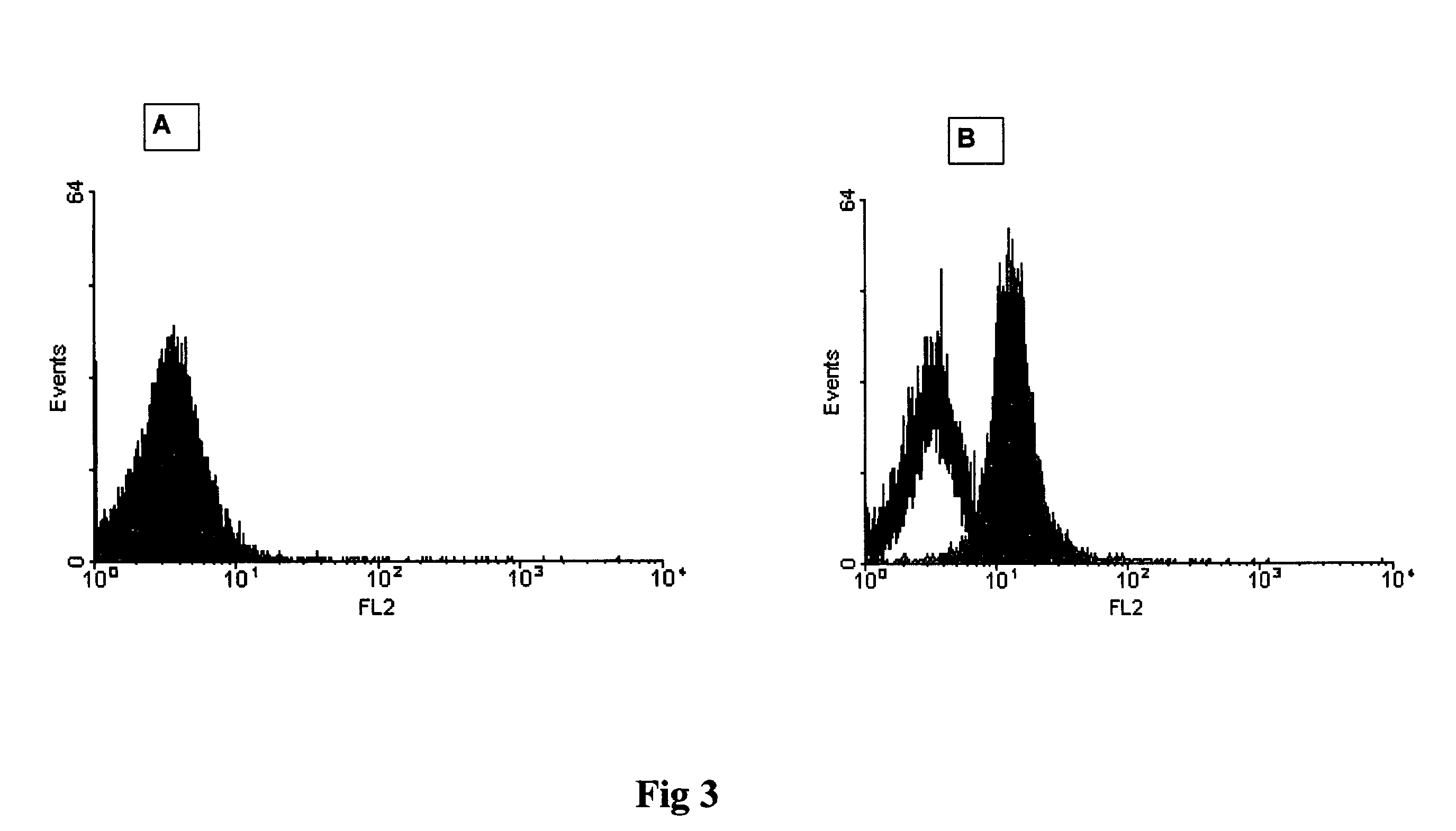 Method for the Detection of Disease-Related Prion