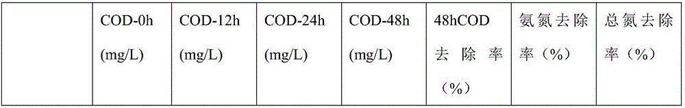 Organic waste degrading compound bacterium and application thereof