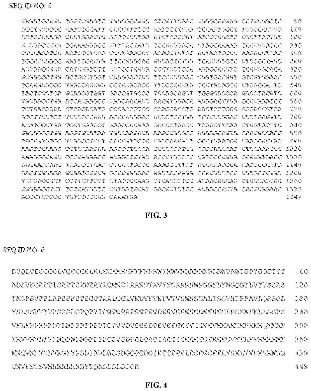 Recombinant fusion protein containing an anti-PD-L1 antibody