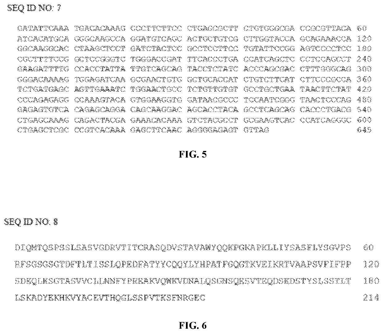 Recombinant fusion protein containing an anti-PD-L1 antibody