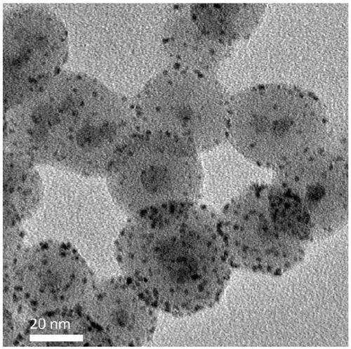 Nano-bioprobe for detecting pathogenic bacteria and preparation method thereof