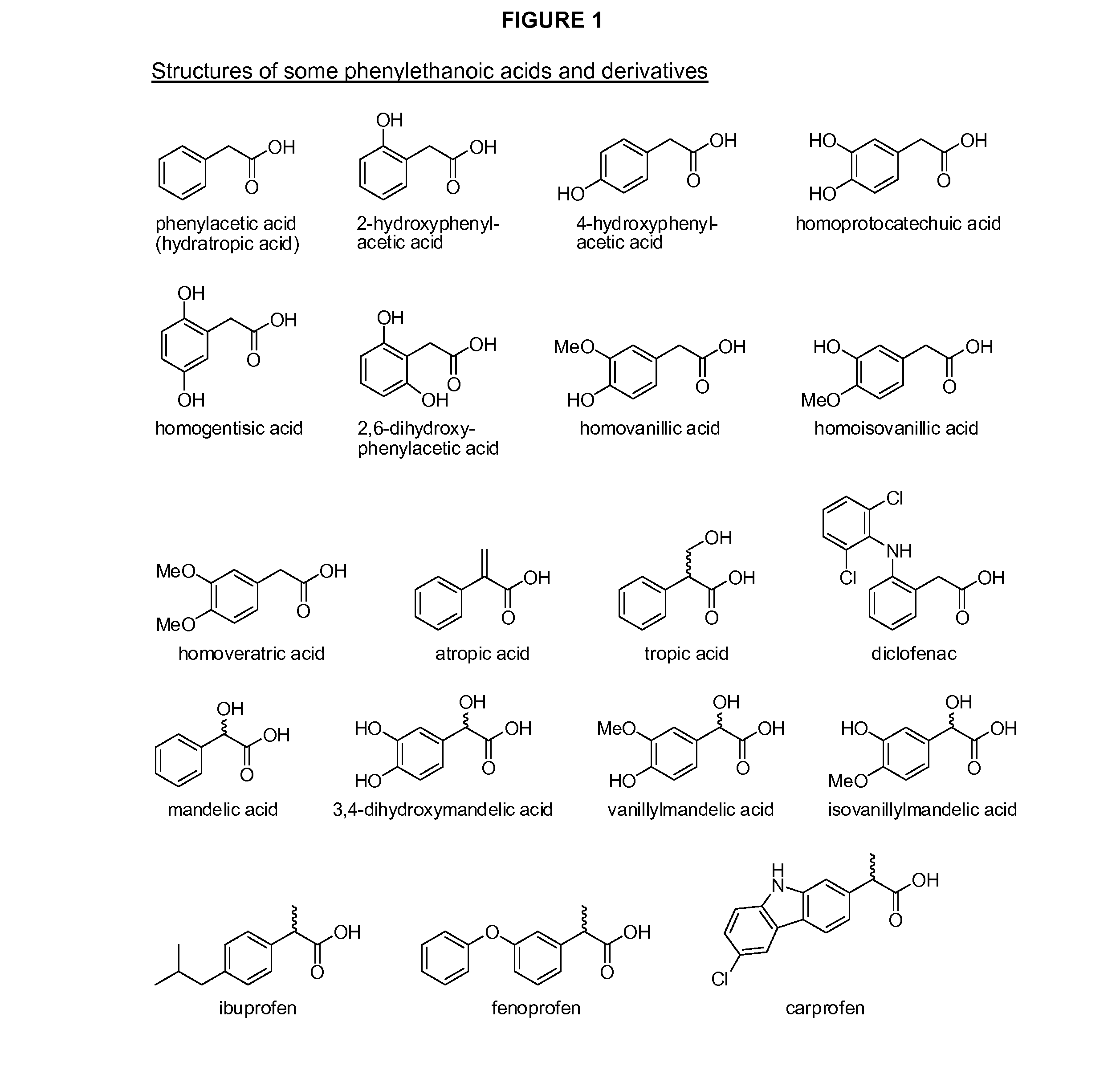 Phenylethanoic acid, phenylpropanoic acid and phenylpropenoic acid conjugates and prodrugs of hydrocodone, method of making and use thereof