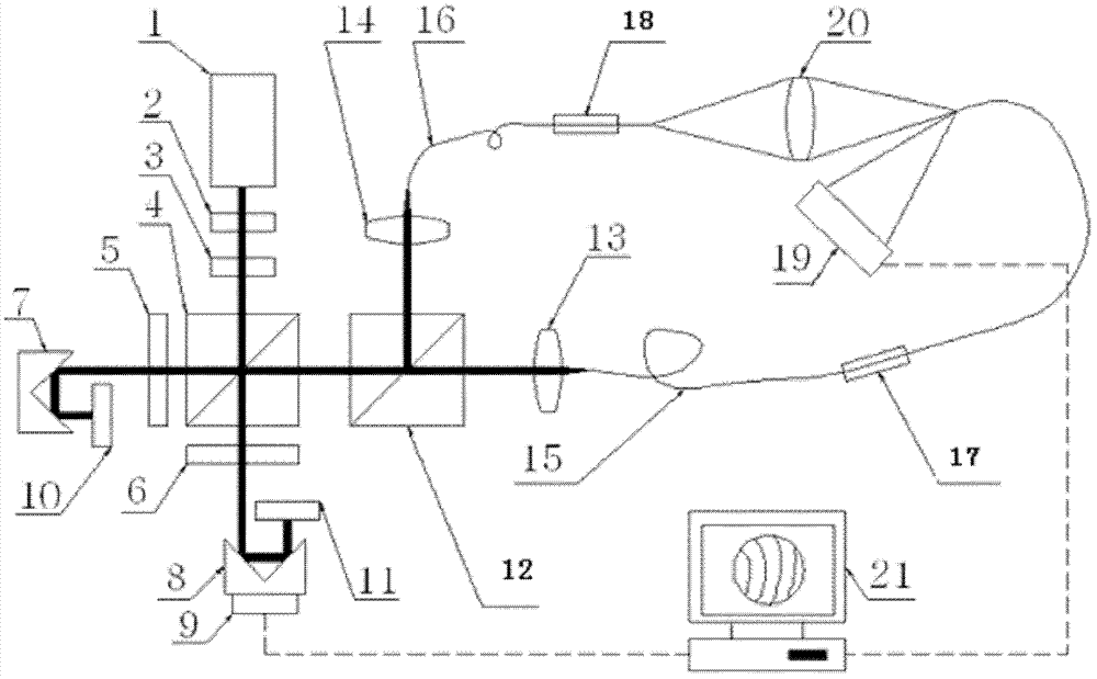 Optical system wave aberration detection device